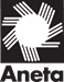 Logo Aneta